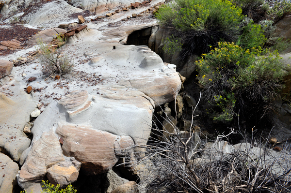 rock formations in Makoshika State Park